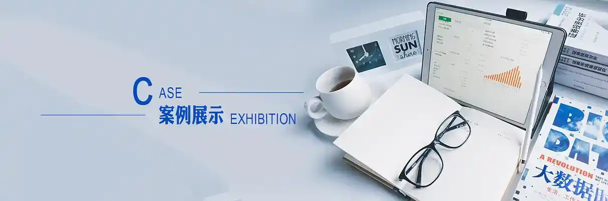 崇安区软件开发